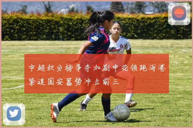 中超积分榜争夺加剧申花领跑海港紧追国安蓄势冲击前三