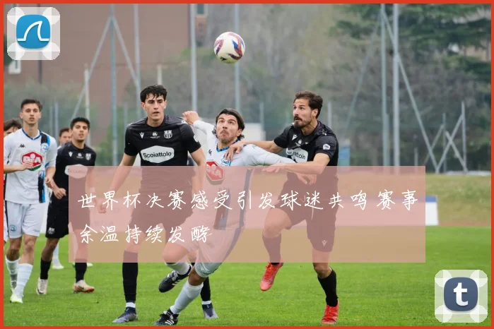 世界杯决赛感受引发球迷共鸣 赛事余温持续发酵