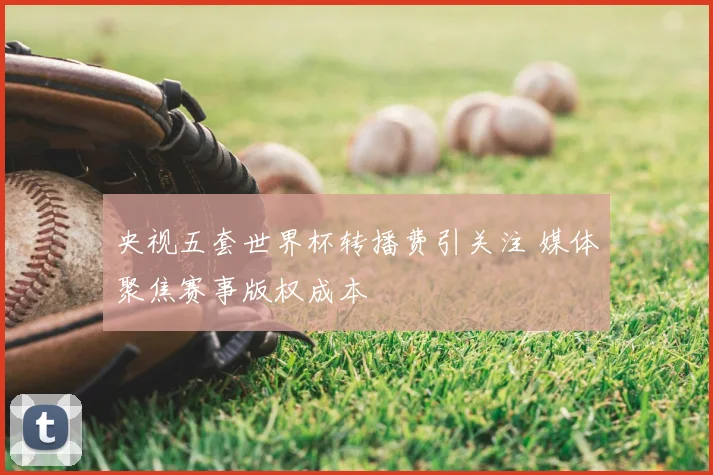 央视五套世界杯转播费引关注 媒体聚焦赛事版权成本