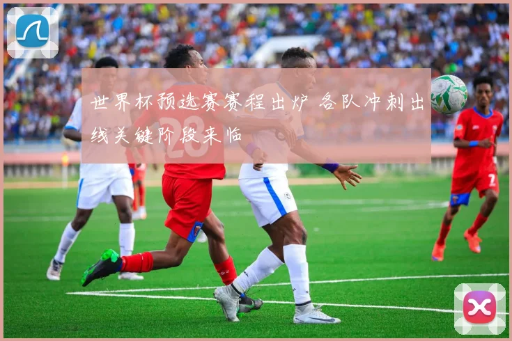 世界杯预选赛赛程出炉 各队冲刺出线关键阶段来临