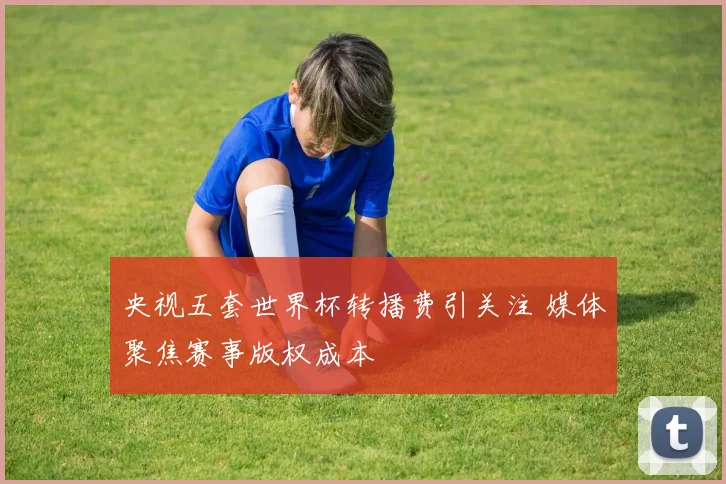 央视五套世界杯转播费引关注 媒体聚焦赛事版权成本
