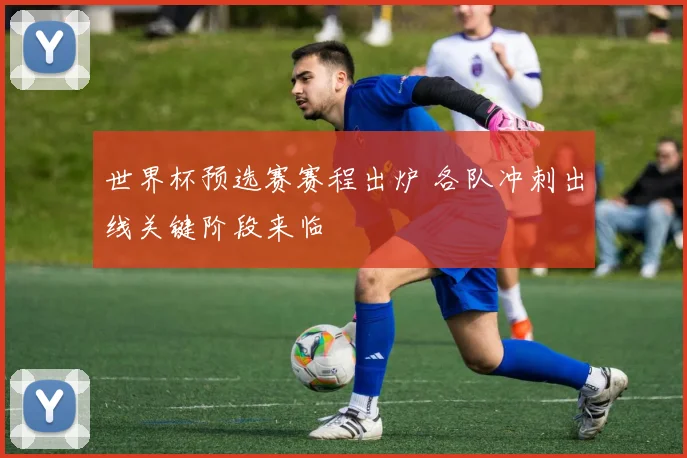 世界杯预选赛赛程出炉 各队冲刺出线关键阶段来临