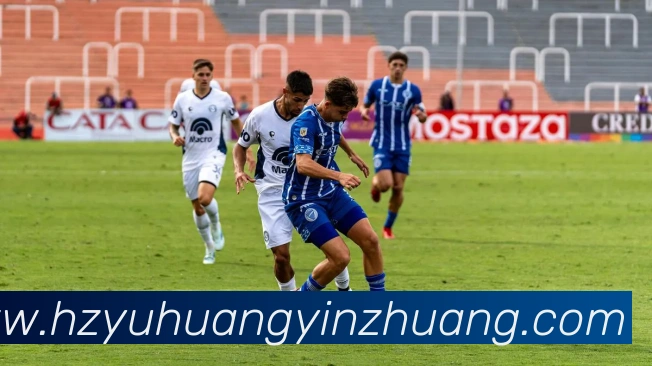 bandao体育官网平台生态图