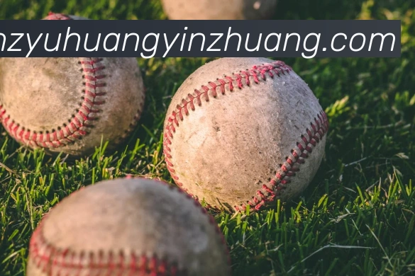 bandao体育官网APP 封面图